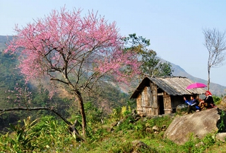 Sapa in Lao Cai Sapa in Lao Cai