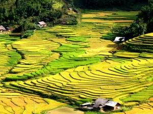 Sapa Impression Sapa Impression