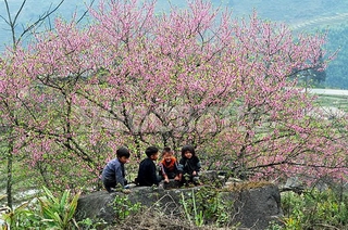 Sapa, a must-see destination in Vietnam Sapa, a must-see destination in Vietnam