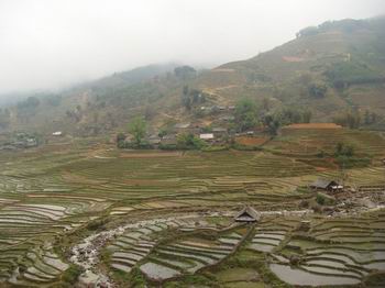 Trekking in Sapa Trekking in Sapa