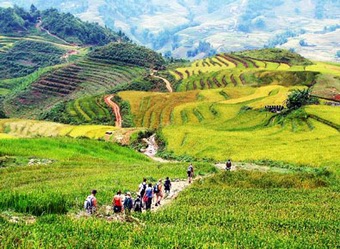 Trekking in the Glorious Sapa Trekking in the Glorious Sapa