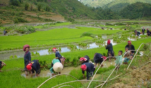 How to arrange a trip to Sapa with 35 usd How to arrange a trip to Sapa with 35 usd