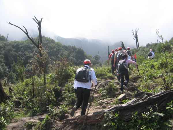 Fansipan mountain trekking experience Fansipan mountain trekking experience