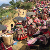 CanCauMarket Sapa Markets