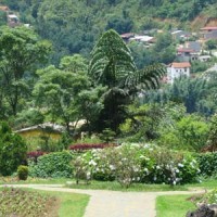 HamRongMountainSapa Sapa Travel Guide