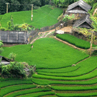 Sapa classic tour 3 days Sapa classic tour 3 days