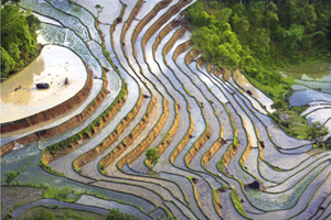 Sapa Tours