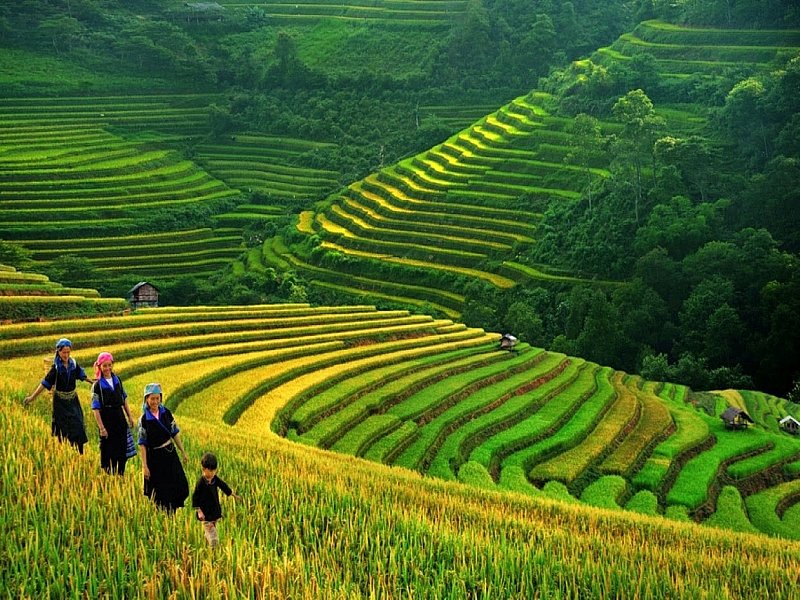 Sapa Vietnam 10