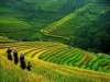 Sapa Vietnam 10