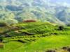 Sapa Vietnam 13