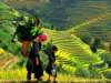 Sapa Vietnam 19
