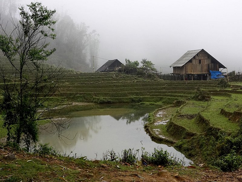 Sapa Vietnam 26