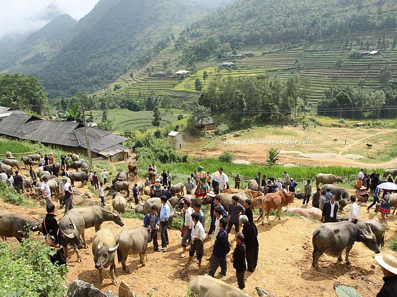 Sapa Vietnam 3