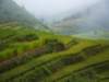 Sapa Vietnam 33