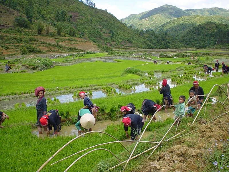 Sapa Vietnam 38