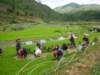 Sapa Vietnam 38