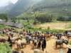 Sapa Vietnam 3