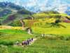 Sapa Vietnam 40_small.jpg